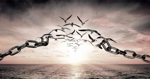 FB_IMG_1632939979279