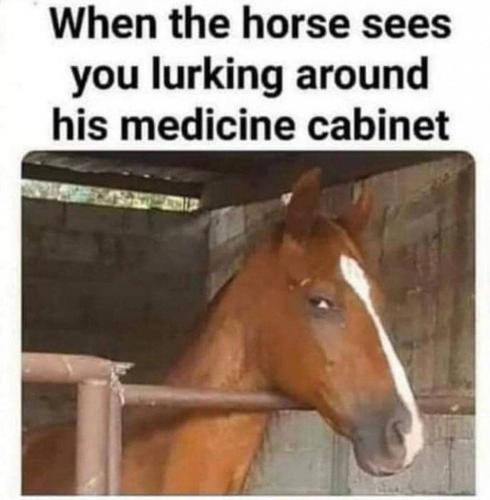 photo_2021-09-06_07-34-12