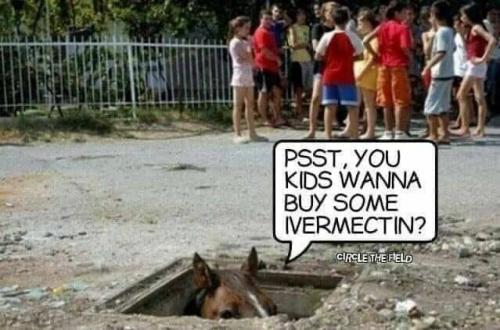 photo_2021-09-04_20-45-40