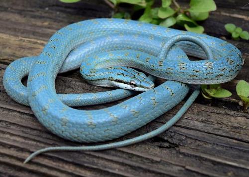 241510004_4120230184755493_48753125801804815_n