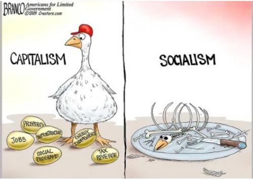 218935726_332562935083285_8948985411910841596_n