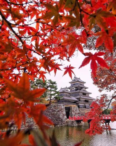 241947110_383257006849845_10950651691232673_n