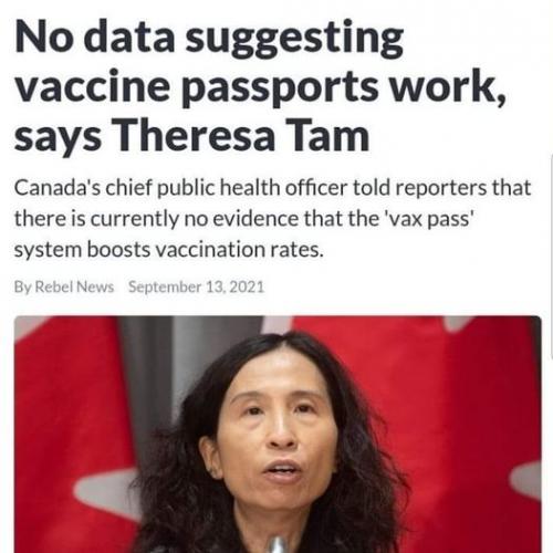 TAm Passports