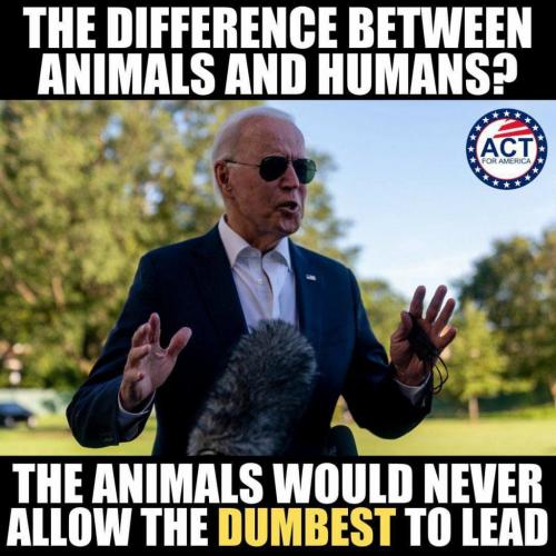 ANIMALS N HUMANS