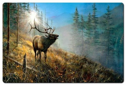 20:37:06 GMT-0500 (CDT)