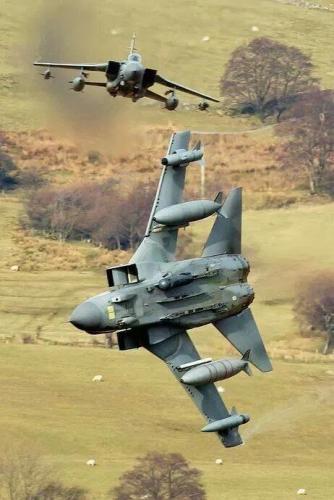 debbb29d0d194428a01b4dc8eb3628ab