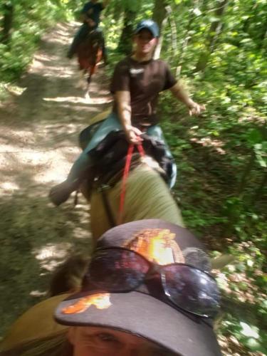 20:50:08 GMT-0400 (EDT)