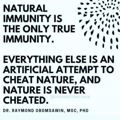 FB_IMG_1631753559193