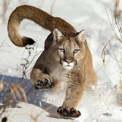 14102511_10205233414475096_20196528115863321_n