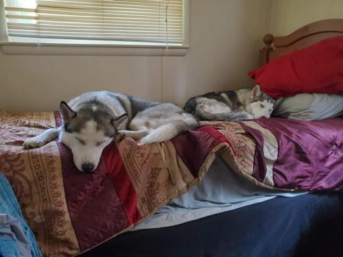 FB_IMG_1631620770757