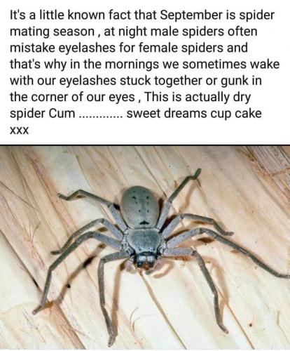 FB_IMG_1631126262242