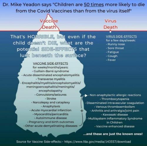 vaccine335