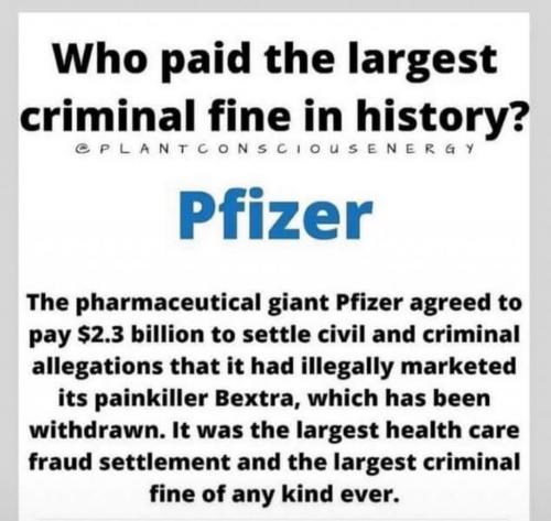 pfizer crimes