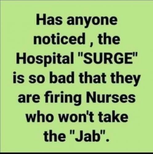 FB_IMG_1631511061085