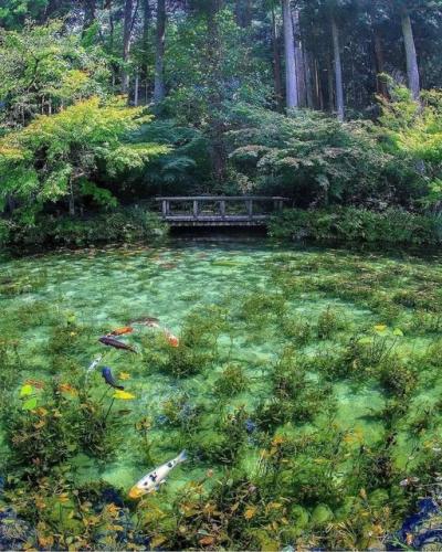 241430222_397486701747338_7572444459017802171_n