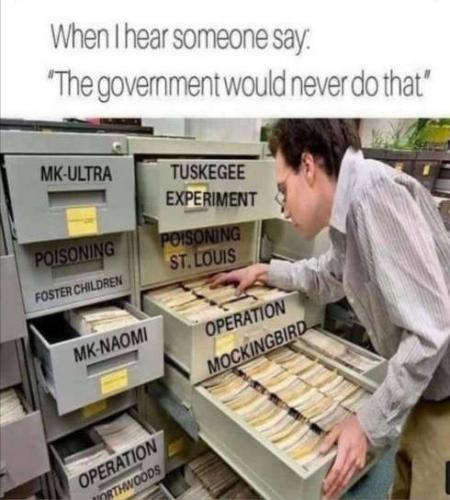 when-someone-says-government-would-never-do-that-tuskegge-mk-ultra-mockingbird