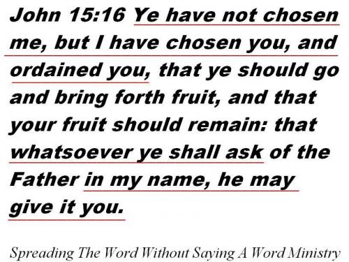 1175249_459658587466611_1662624550_n