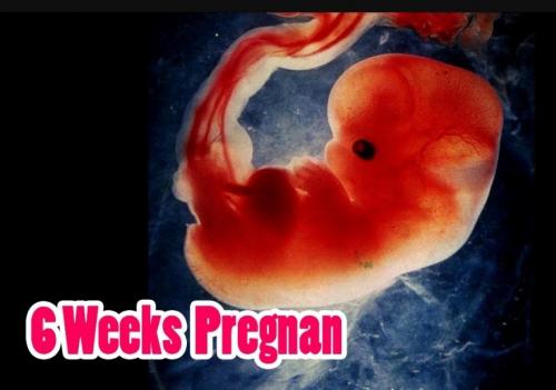 Screenshot_20210921-123040_DuckDuckGo