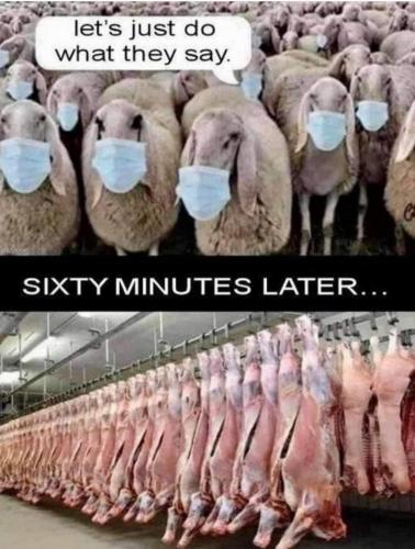 FB_IMG_1632273109437