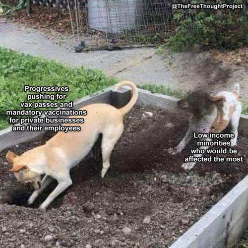 242705228_2634860153487849_6889850716612784816_n