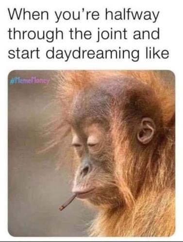 FB_IMG_1632806178274