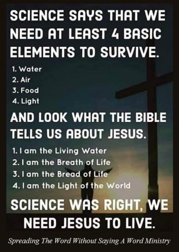 241389151_588295599004650_1720340918961500459_n