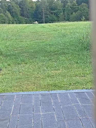 PHOTO_20210919_172309