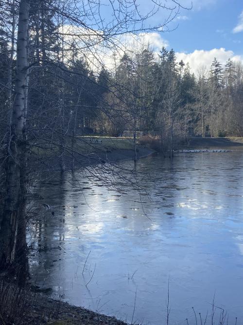 2638CC47-F439-4F25-87B4-8AD0C699BE43