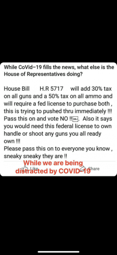 241838064_401633521480192_7774138356443354398_n