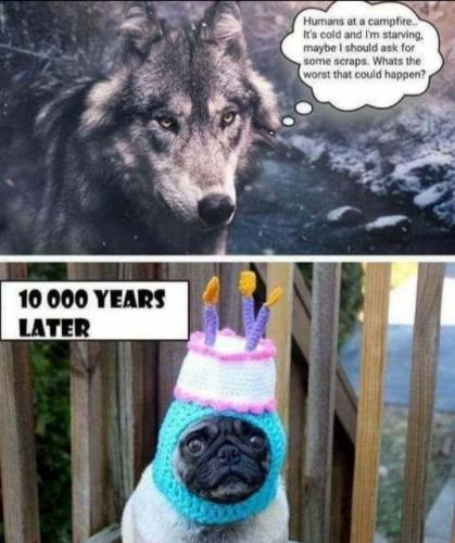 18:06:55 GMT-0400 (EDT)