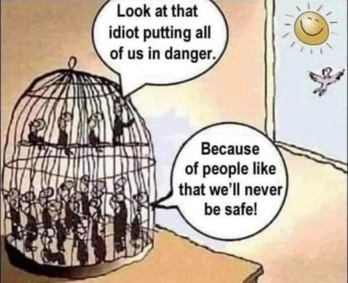 2021-09-11_13-46-20 Freedom Birds