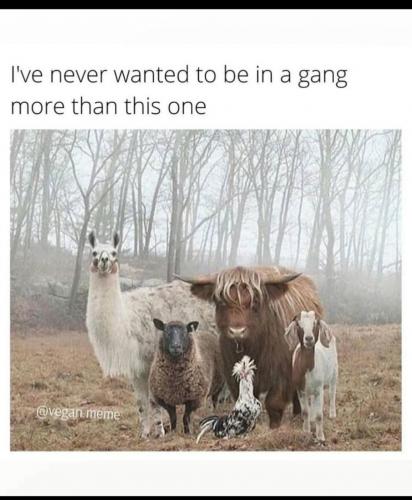 Screenshot_20210910-132024