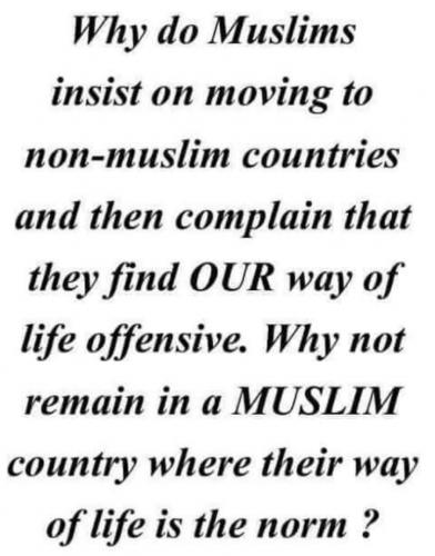 14:28:40 GMT-0400 (EDT).image