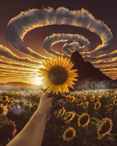 184179638_4389316404420841_1937020177137897977_n