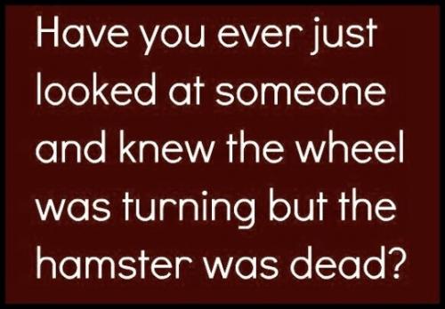 tumblr_3f7b6a51539c3fa98de8d0c8e45e9981_a15b2f46_540