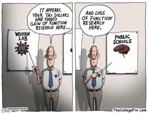 241805465_4573486182691277_5613135183925170729_n