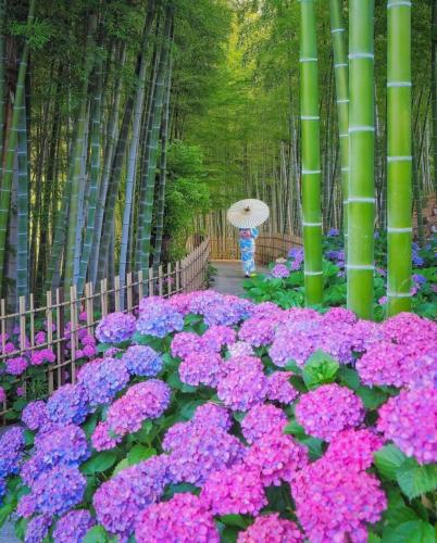 241801817_394584505370891_4786585826421287227_n