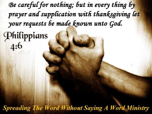 12028679_827868603978939_6212477117433485396_o