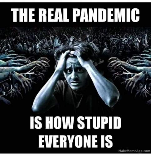 169233136_10222275279203366_5073201337424505016_n