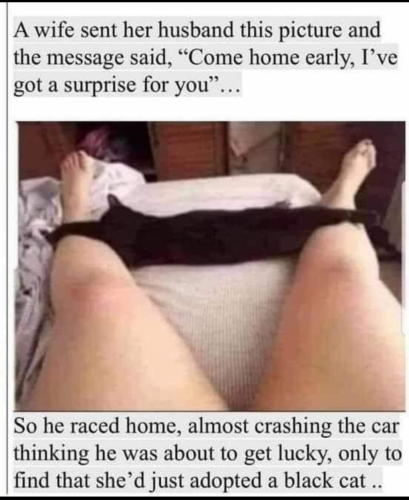 Screenshot_20210915-104338-620