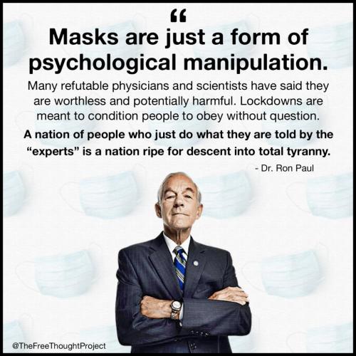 240108456_2616767561963775_2192598352970476477_n