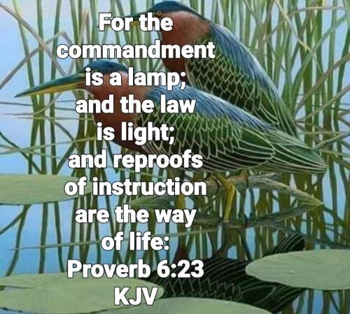 06:59:02 GMT-0700 (PDT)