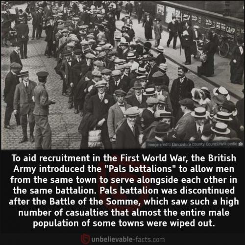 242837800_4288669244578558_5244468801140123516_n