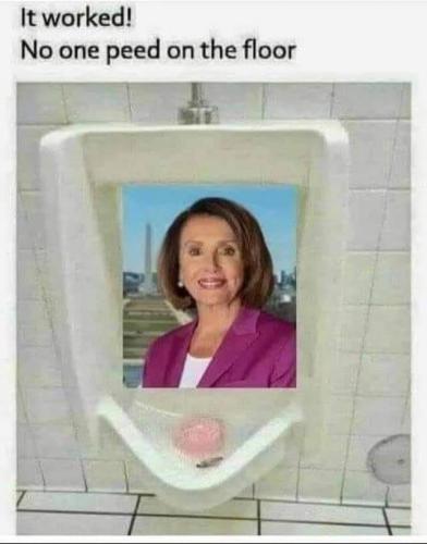 pelosi floor