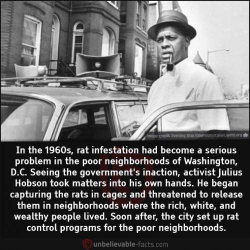 241298799_4222405771204906_1351441329814054932_n