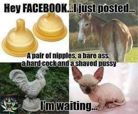 15:58:18 GMT-0500 (CDT)