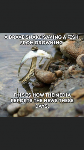 10:30:36 GMT-0400 (EDT).image