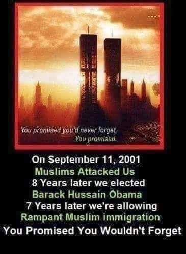 53065688_120065775754695_282642958707064832_n