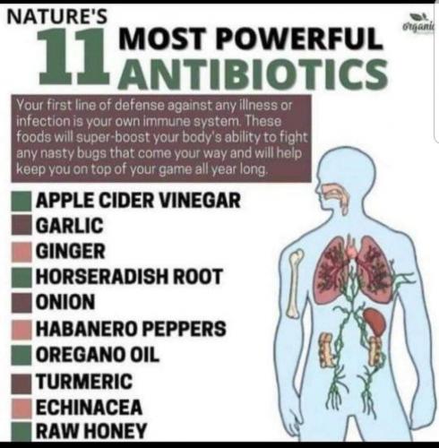 antibiotics 11