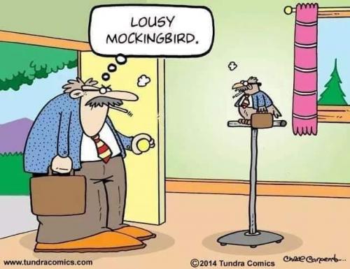 242373173_4472093032849314_8818372472895256335_n